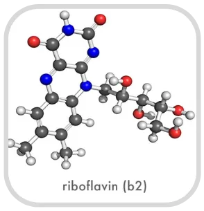 Riboflavin ingredient