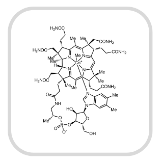 Methylcobalamin ingredient