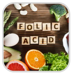 Folic Acid ingredient