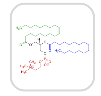Phosphatidylcholine ingredient